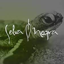 selva negra.jpeg